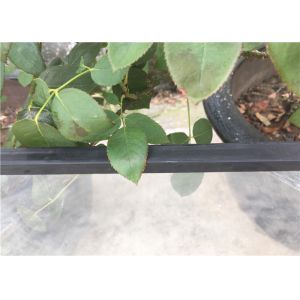 Double Pane Insulated Glass Replacement For Office Door With Glass Windows