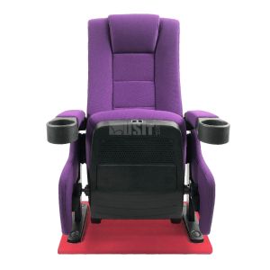 VIP Rocking Push Back Lecture Public Theater Seating