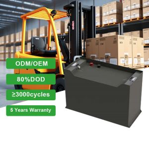 BMS Forklift Lithium Battery Lifepo4 Lithium Ion Batteries for Electric Forklift
