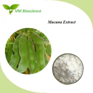 Cheap Natural Velvet Bean Seed Extract / L Dopa Mucuna Pruriens Extract for sale