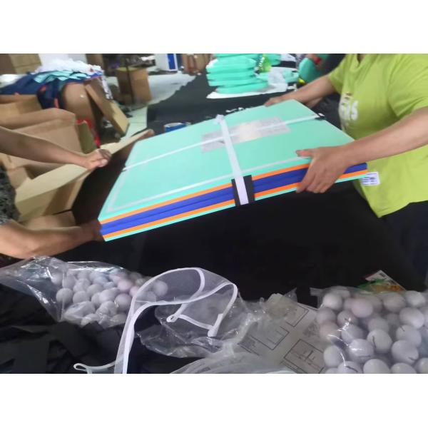 Floating Swimming Pool Table Tennis with EVA Pingpong Table Tray Table in Green Color