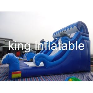 0.55mm PVC Tarpaulin Inflatable Dry Slide Blue / White Slide Attached For