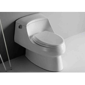 China Modern round one piece toilet  250mm 300mm single side flush on sale