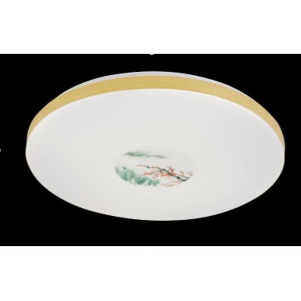 Color Changing Led Ceiling Lights 24w 6000k 3200k 4100k For Living Area / Hotel