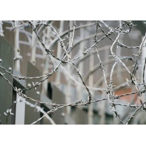 Cheap Garden Anti-Theft PVC Coated /Galvanized Barbed Wire Coils Fence for sale