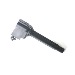 High Performance Ignition Coil Pack with Durable Copper Wire and OEM And ODM Service for Ford Models FS1-12A366-AB