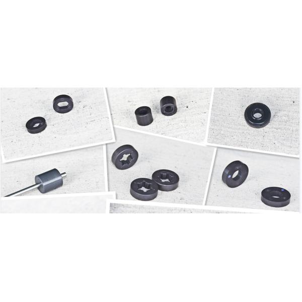 Isotropic Bonded NdFeB Magnets PPS PA12 Injection Molded Magnets