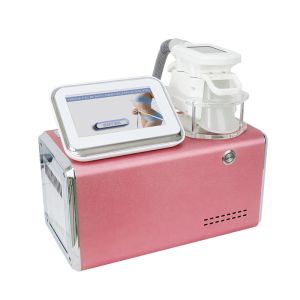 LF-253 Portable one big cryo handle Cryolipolysis Fat Dissolving Machine With CE