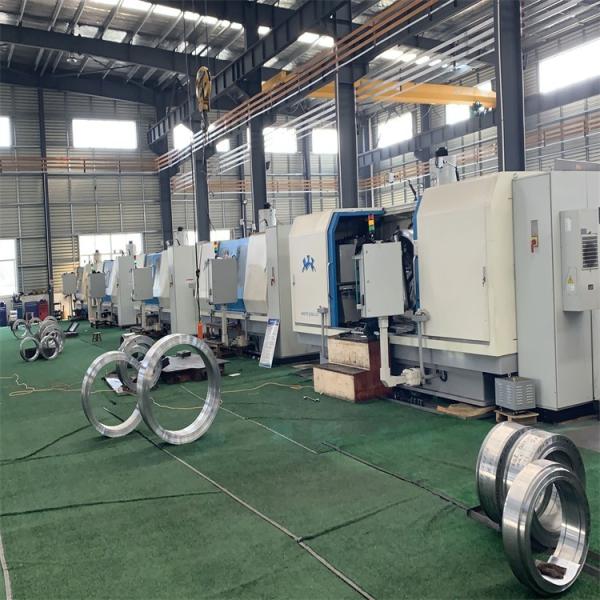 Quality 10mm Pellet Making Ring Die For Pig Sheep Cow Livestocks wholesale