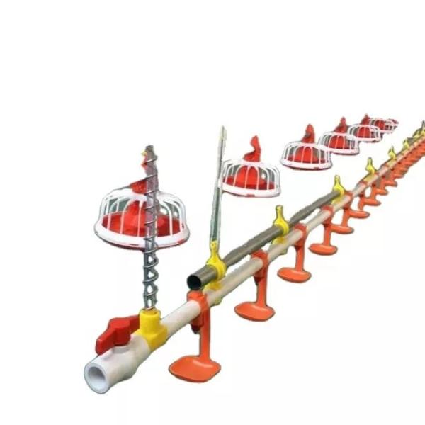 Quality Galvanized Pipe Automatic Chicken Feeder System 3m Pipe length wholesale