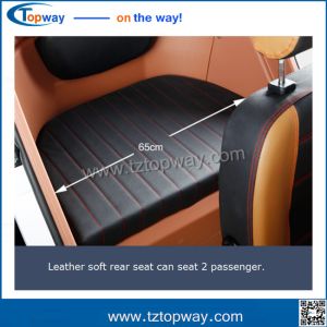 Electrical tricycle for passenger 3-4 people closed cabin for disable people