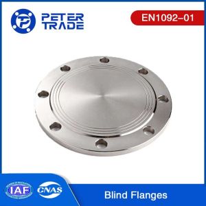 China EN1092-01 TYPE 05 ASTM A105 Carbon Steel Flat Face Blind Flanges PN16 BLFF For Oil And Gas Industry on sale