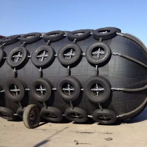 Efficient Shock Absorption Pneumatic Rubber Fender High Elasticity Properties
