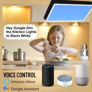 Remote Control LED Skylight Panel 220V 60x120 Durable Artificial Sunlight