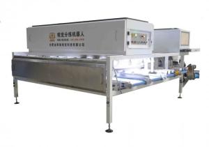Cheap Pili Nuts Optical 7KW Grading Sorting Machine 8 Channel For 0.8 - 1.2 T/H for sale