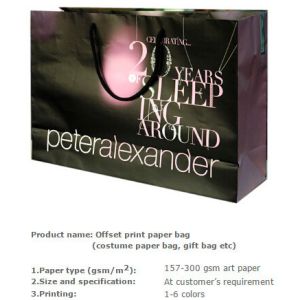 Low cost custom made design logo print handle paper carrier bag luxury paper