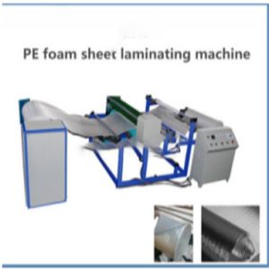 Single Screw Epe Thickening Machine With Trimming Fpm-Z 2000