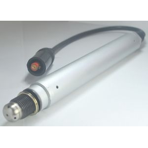 Prechamber Spark Plug Matching For 12453562 Original BIOGAS