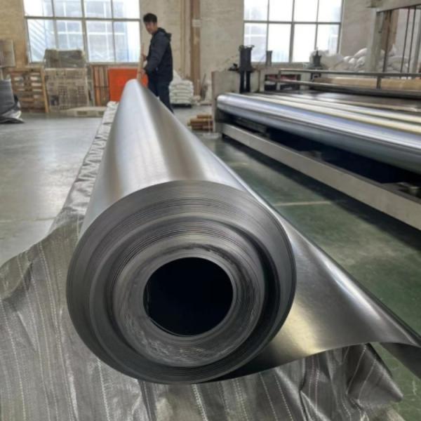 Double Smooth Surface Pond Liner Geomembrane for Fish Prawn Fram and Dam