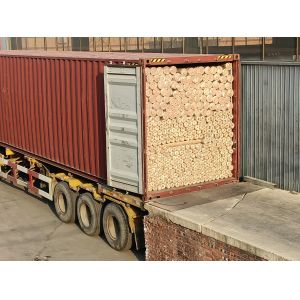 Technique Welded Mesh Galvanized Wire Mesh Rolls/1/2 Inch Square Hole Wire Mesh