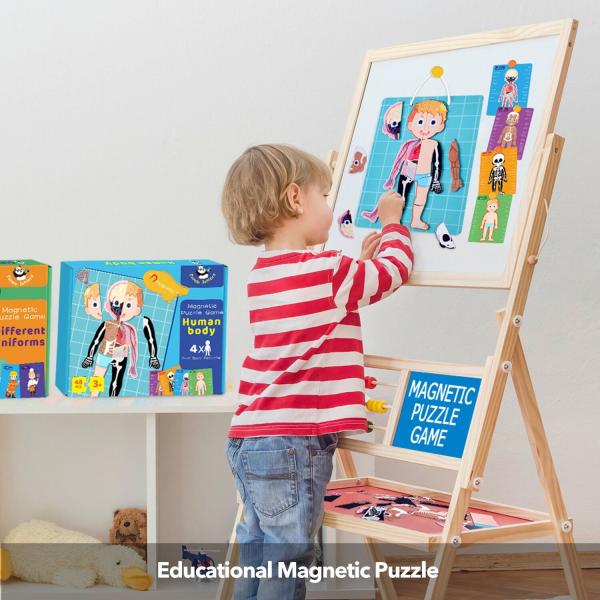 Quality Panda Juniors PJ008 Educational Puzzle Toy Magnetic Human Body Cognitive For Kid wholesale