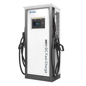 Cheap IP54 Protection Level EV Charger Station for Hongqi E-HS9 and Other Electric Vehicles for sale