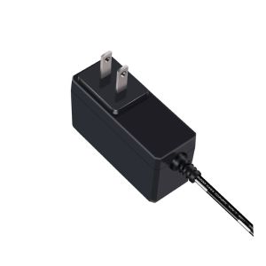 75*40*30mm Wall Power Adapter Customizable 12V 2A Switching Power Adaptor For