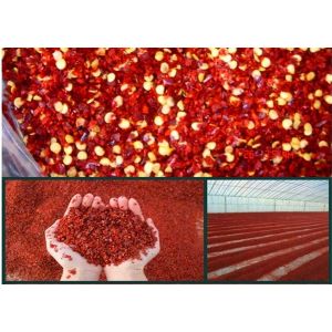 Double Plastic Bags Inner Packing Ground Red Pepper with Bold Flavor Profile