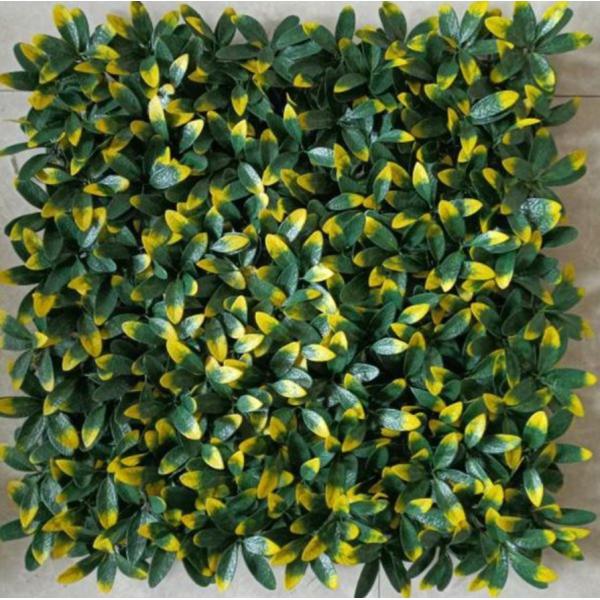 Quality Upgrade Your Space With Natural-Looking And Low Maintenance Artificial Wall Grass wholesale