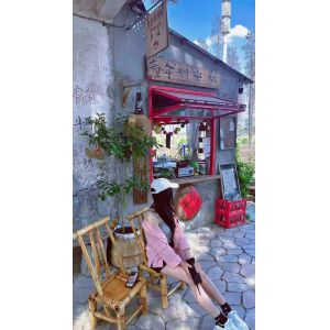 folding window aluminum balcony vertucal