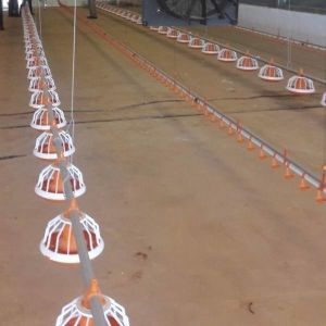 Broiler Feeding Pan Poultry Drinking Line Nipple Drinker For Quail