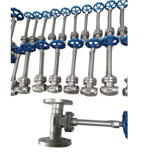 Cheap DN10-100 PN50 Socket Welding Cryogenic Globe Valve -196- 80 ℃ for LNG LOX LIN LAR LCO2 for sale