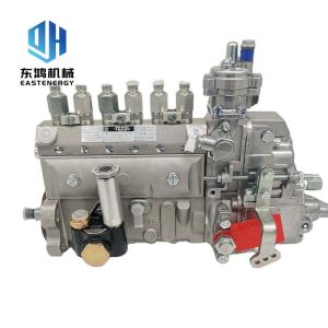 Excavator Engine Parts Diesel Engine 6D102 Parts Engine Diesel Pump 4063845 For