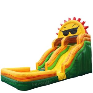 Customized Color Bouncy Castle Inflatable Slide for Max Capacity 100-500kg Water