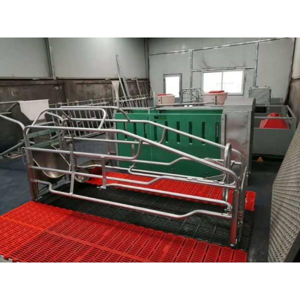 Quality Adjustable Pig Farrowing Crate wholesale