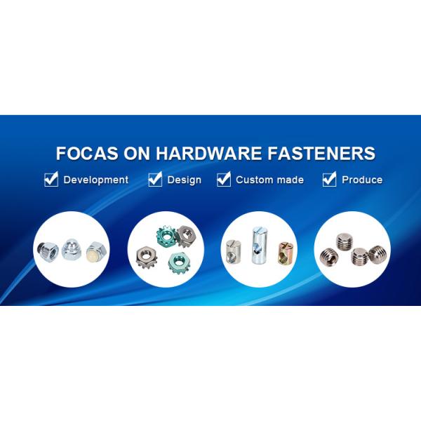 OEM Stainless Steel Locking Wing Nuts DIN 315 ISO 9001 Approved