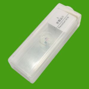 School Students Learning 5pcs Histology Glass Slides In Plastic Box