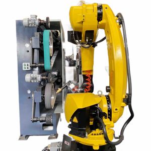 Industrial Robotic Cell For Grinding Surgical Implants