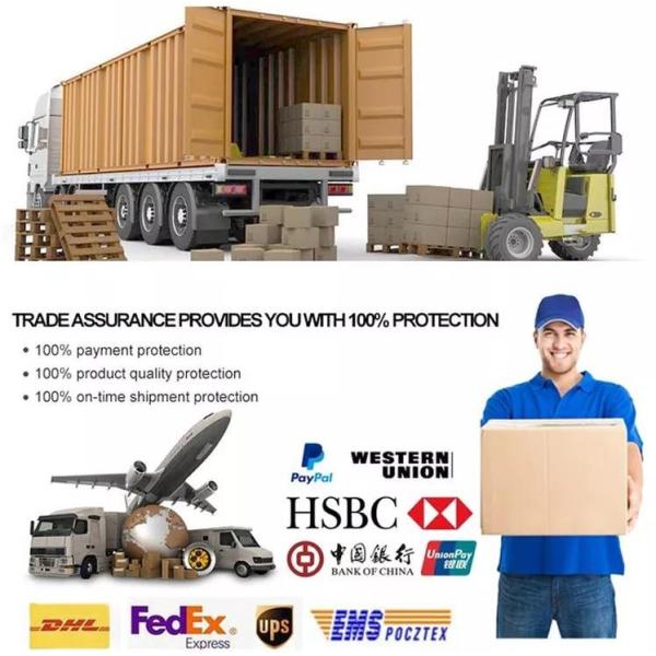 Seamless 304 Stainless Steel Pipe 316L 317L Surface Frosting White Smooth For Boiler