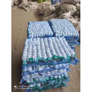 China Natural Prepacks Fresh normal white garlic Pure White Garlic on sale