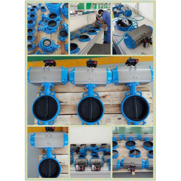 Rack&Pinion Series Pneumatic Rotary Actuator AT075 Double Action Single Action Ce Ex