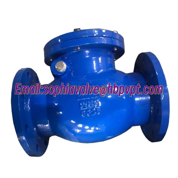 Design standard DIN GG25 metal seal cast iron check valve