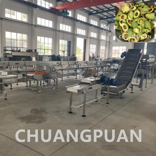 Customized 1 - 10T/H Avocado Pulp Processing Machine With Automatic Control
