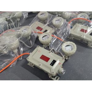 IP66 LED Explosion Proof Emergency Light – 2x3W, 90lm/W, Fire-Resistant for