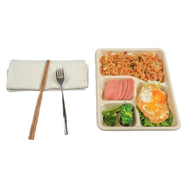 Three Screw Blister Equipment Disposable Plastic Container Making Machine