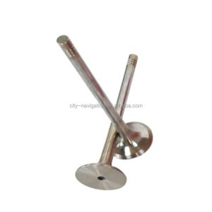 Engine Valve for Lavida Sagitar T-ROC Jetta CC MT Tiguan A4 A6 A8 C6 C7 Q5 Q7 1
