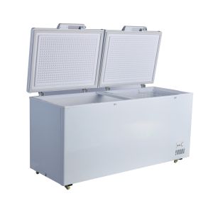 Large Capacity Deep Chest Freezer with 7cm Foam Layer and R600a/R290a Refrigeran