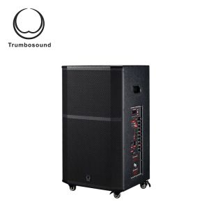 12 Inch Trolley Portable Speaker With Wheels Wifi Loudspeaker