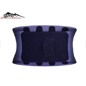 Multi Color Sport Slimming Magnetic Back Brace Lumbar Waist Support Fish Ribbon