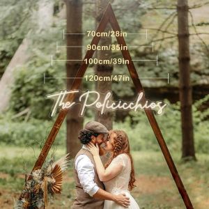 Wall Screw Fix Installation Indoor Flexible RGB Neon Strip Light with Custom